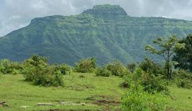 Paal Hills, Pune - Paal Hills
