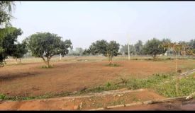 Sai Padmanabham Estate, Visakhapatnam - Sai Padmanabham Estate