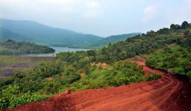 Vaidhik Farms, Sindhudurg - Vaidhik Farms