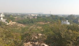 MS Group Dream City, Faridabad - Residential Plots