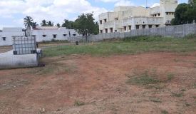 Ritz Avenue, Tiruchirappalli - Ritz Avenue