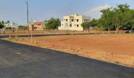 Ritz Avenue, Tiruchirappalli - Ritz Avenue