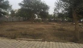 Radha Rani Colony, Vrindavan - Residential Plots