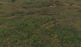 Rawatpur Enclave, Prayagraj - Residential Plots
