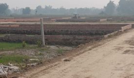 Om Vihar