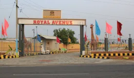 Royal Avenue