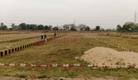 Orchard Green