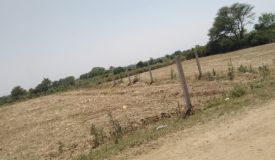 Metro Park, Mohali - Metro Park