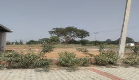 Nature Valley, Gautam Buddha Nagar - Residential Plots