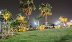 Trishla Plus Homes, Zirakpur - 2/3 BHK Apartments
