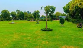 Dlf Spring Field, Gurgaon - Farm Land