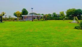 Dlf Spring Field, Gurgaon - Farm Land