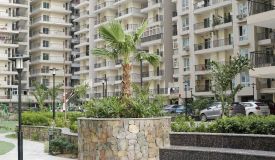 Windsor Paradise Ii, Ghaziabad - 2/3/4 BHK Apartments