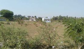 Balaji City