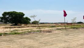 Aero Greens 2, Zirakpur - Residential Plots