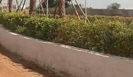 Shanti Kunj City, Raipur - Shanti Kunj City