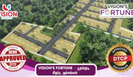 Vision Fortune