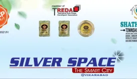 Silver Space