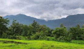 Rudram Ambition Farms, Mumbai - Farms Land