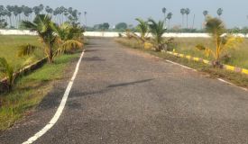 Star City, Chennai - Residential Plots