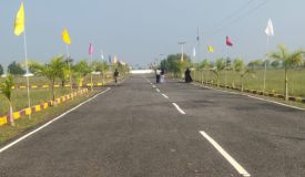 Star City, Chennai - Residential Plots