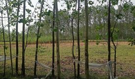 Florence City 2, Saharanpur - Residential Plots