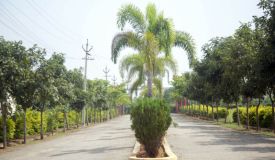 Emerald City, Vizianagaram - Residential Plots