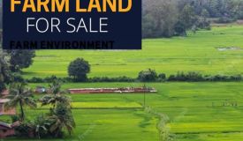Pushpanjali Farms, Delhi - Farms House & Plots