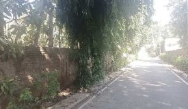 Pushpanjali Farms, Delhi - Farms House & Plots
