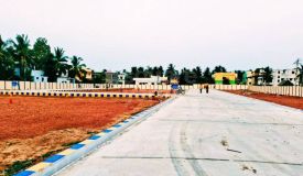 Amoga Township, Tiruchirappalli - Residential Plots