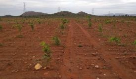 Nithya Sree Farm Lands