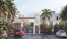 Mohaae Palm City