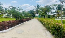 Brigade Botanic Plenty Villas, Bangalore - Villa & Plots