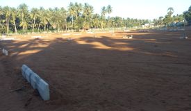 Shanthaa Classic