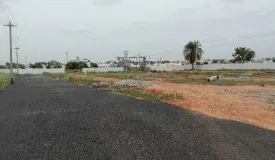 Sree Sai Garden