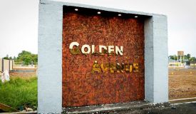 Golden Avenue