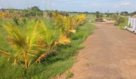 N  Farms, Chennai - Farms Land