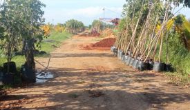 N  Farms, Chennai - Farms Land
