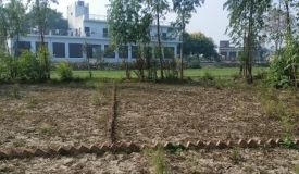 Radhey Shyam Colony, Mainpuri - Commercial Plots