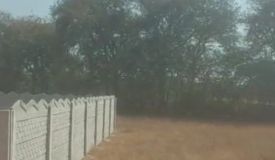 Sai Nath Gardens, Hyderabad - Residential Plots