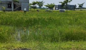 Ashok Metrovaram, Chennai - Residential Plots