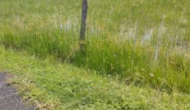 Ashok Metrovaram, Chennai - Residential Plots