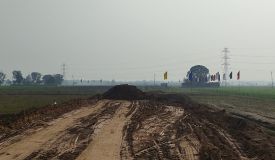 Mulberry Greens, Mohali - Residential Plots