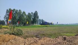 Mulberry Greens, Mohali - Residential Plots