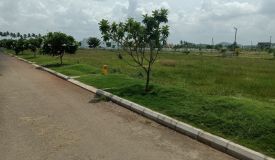 Wood Heaven, Chennai - Residential Plots