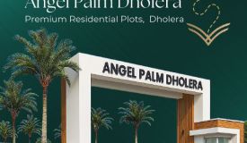 PALM DHOLERA, Ahmedabad - Residential Plot