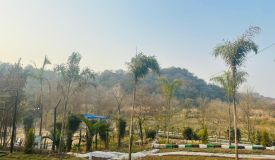 Chandigarh Golf Valley, Chandigarh - Farms House & Plots