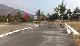Jhp City