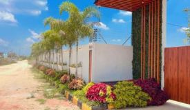 Western Blossoms, Rangareddy - Commercial Plots