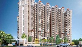 Newtech La Palacia, Greater Noida - 2/2.5/3 BHK Apartments